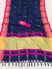 PSW  STAR PAITHANI
